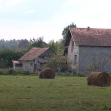 Posjekao šumu na tuđem i državnom vlasništvu - 11