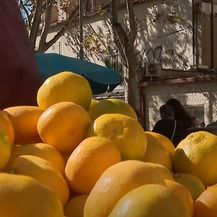 Mandarina - 4