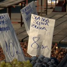 Zagrebačka tržnica - 4