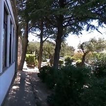 Osnovna škola Cavtat - 3