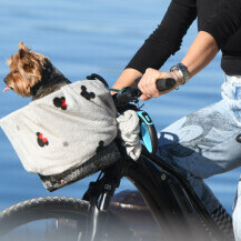 Psić Rafo iz svoje košare promatra more i uživa u vožnji
