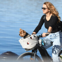 Psić Rafo iz Šibenika uživa u vožnji biciklom sa svojom vlasnicom Andreom - 3