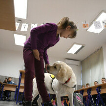 Terapijski pas Luna svakodnevno unosi radost u bjelovarsku osnovnu školu - 4