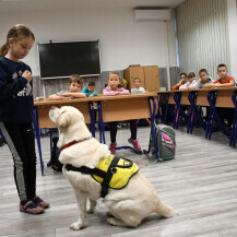 Terapijski pas Luna svakodnevno unosi radost u bjelovarsku osnovnu školu - 6