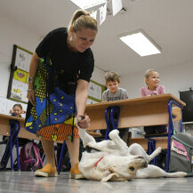 Terapijski pas Luna svakodnevno unosi radost u bjelovarsku osnovnu školu - 9