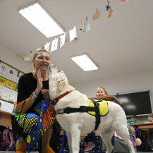 Terapijski pas Luna svakodnevno unosi radost u bjelovarsku osnovnu školu - 10