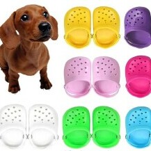 Crocsice za pse, Amazon