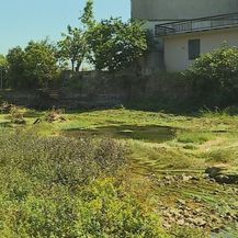 Dotok vode rijeke Vrljike još je uvijek slab (Foto: Dnevnik.hr) - 5