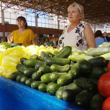 U odnosu na prošlu godinu cijene povrća znatno narasle (Foto: Dnevnik.hr) - 7