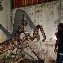 Grafiti (Foto: Instagram/odeith)