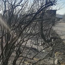 Pelješac dan nakon velikog požara (Foto: dnevnik.hr) - 5