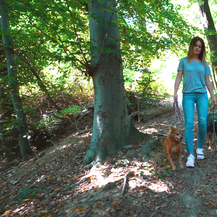 Ani dan počinje šetnjom sa psima u šumi