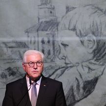 Frank-Walter Steinmeier (Foto: AFP)