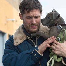 Tom Hardy (Foto: Profimedia)