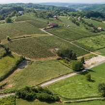 Hrvatska vinska priča u finalu natjecanja američkog Wine Spectatora - 1