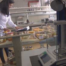 Laboratorij za kontrolu kvalitete meda (Foto: Dnevnik.hr)