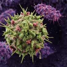 Virusi (Ilustracija: Getty)