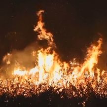 Spaljivanje Amazonske prašume (Foto: Dnevnik.hr) - 2