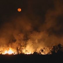 Spaljivanje Amazonske prašume (Foto: Dnevnik.hr) - 3