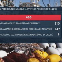 Broj prekršajnih naloga slovenske policije protiv savudrijskih ribara (Foto: Dnevnik.hr)