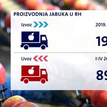 Uvoz i izvoz jabuka