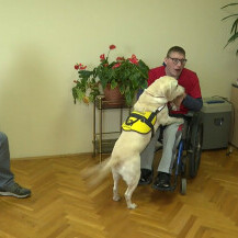 Radni psi iz Udruge za školovanje pasa vodiča i mobilitet - 1