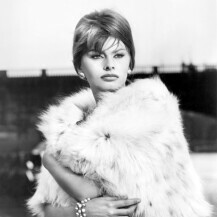 Sophia Loren