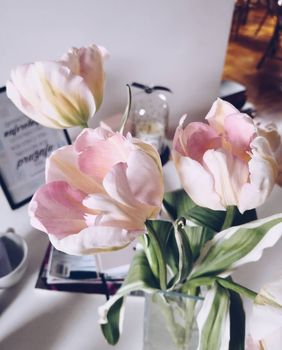 Cvjetna sorta koja je spojila ljepotu tulipana i božura