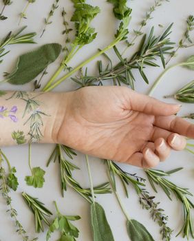 Tattly privremene tetovaže