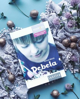 Knjiga Debela Silvije Šesto