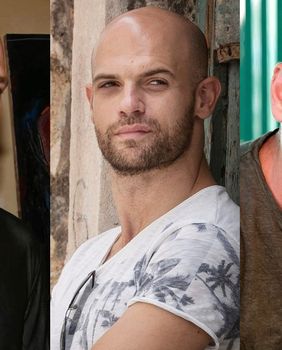 Ćelava glava zaštitni je znak Damira Urbana, Mislava Ćavajde i Mile Kekina