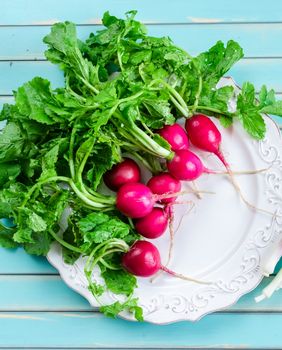 Rotkvice i mladi luk kraljevi su uskrsnog stola