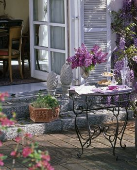 Glicinija je idealna za prekrivanje sjenica, metalnih struktura ili ograda te je lijep ukras pročelja kuća i garaža - 9