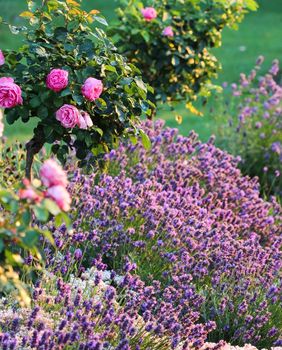 Travanjsko orezivanje je ključno