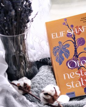 Elif Shafak: Otok nestalih stabala