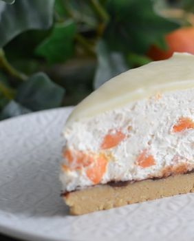 Torta bez pečenja Nataše Pralice