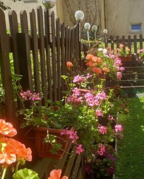 Vrt Nataše Marinković izgleda poput male oaze sreće - 10