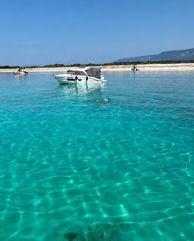 Otok Zeča