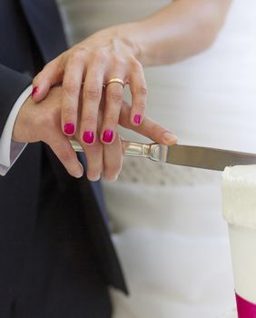 Mladenci režu svadbenu tortu