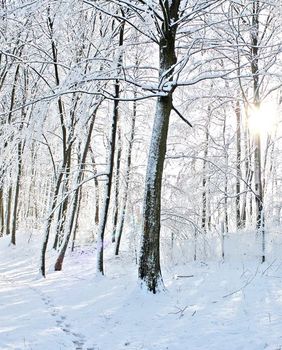 Trim staza pored Termi Sveti Martin
