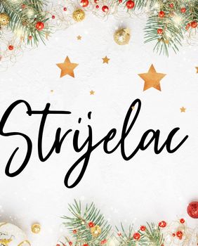 Godišnji horoskop - 12