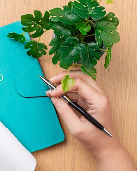 Planer za 2025. godinu može biti lijepi božićni poklon