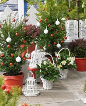 Ukrašena drvca u dvorištima