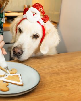 Pripazite na to kakve ostatke blagdanske hrane dajete ljubimcima