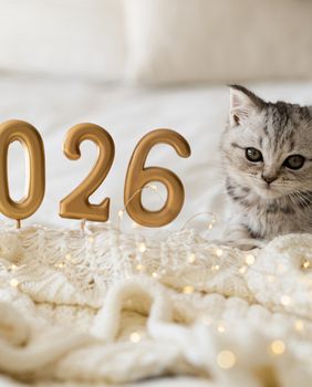 Ulazak u novu godinu idealna je prilika za mali životni reset