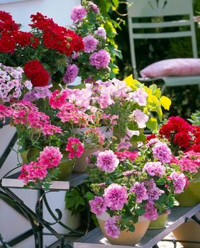 Jedva čekamo šareno cvijeće i uživanje na balkonu