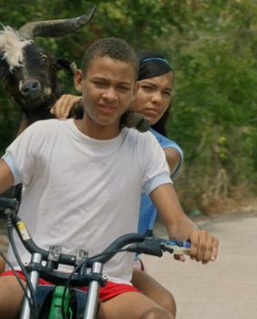 Koza nesrećonoša(Foto: KinoKino)