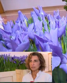 Arhitektica i floristica Boška Bahtijarević