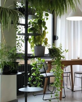 Bogato zelenilo unijelo je toplinu u stan