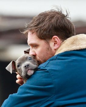 Tom Hardy zaljubio se u preslatkog pitbula na setu filma The Drop